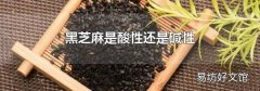 黑芝麻是酸性还是碱性