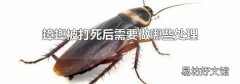 蟑螂被打死后需要做哪些处理