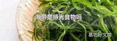 海帶是感光食物嗎
