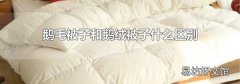 鵝毛被子和鵝絨被子什么區別