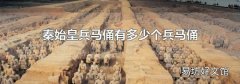 秦始皇兵马俑有多少个兵马俑