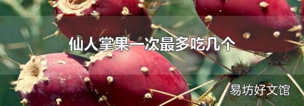 仙人掌果一次最多吃几个