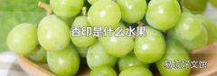 香印是什么水果