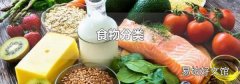 食物分类