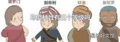 印度種姓有五個(gè)等級(jí)嗎