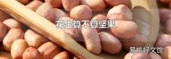 花生算不算坚果