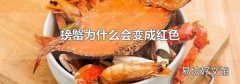 螃蟹为什么会变成红色