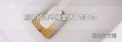 刷子掉进马桶里堵了怎么办