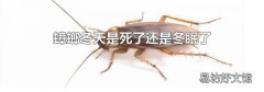 蟑螂冬天是死了还是冬眠了