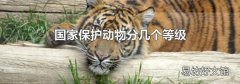 国家保护动物分几个等级