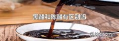 黑醋和陈醋有区别吗