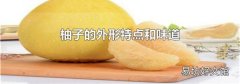 柚子的外形特点和味道