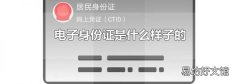 电子身份证是什么样子的