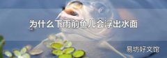 为什么下雨前鱼儿会浮出水面