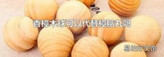 香樟木球可以代替樟脑丸吗
