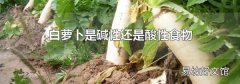 白萝卜是碱性还是酸性食物