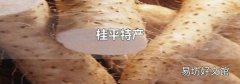 桂平特产
