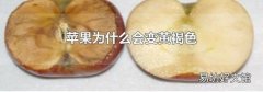 蘋果為什么會變黃褐色