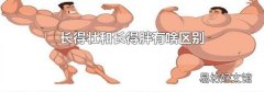 長得壯和長得胖有啥區(qū)別