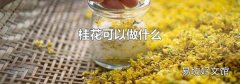 桂花可以做什么