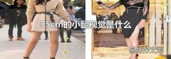 35cm的小腿视觉是什么