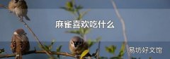 麻雀喜欢吃什么