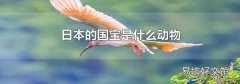 日本的国宝是什么动物