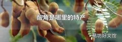 酸角是哪里的特产