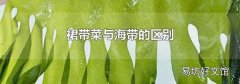 裙带菜与海带的区别