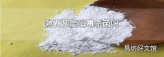 熟石灰能消毒杀菌吗