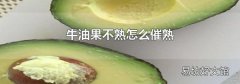牛油果不熟怎么催熟