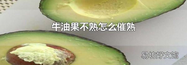 牛油果不熟怎么催熟