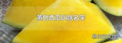 黄色西瓜叫啥名字