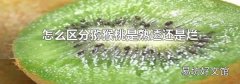 怎么区分猕猴桃是熟透还是烂