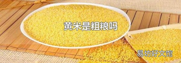 黄米是粗粮吗