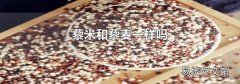 藜米和藜麦一样吗