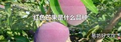 红色芒果是什么品种
