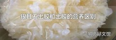 银耳不出胶和出胶的营养区别