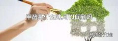 甲醛是什么味,可以闻到吗
