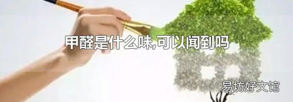 甲醛是什么味,可以闻到吗