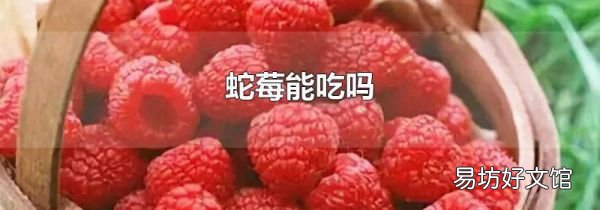 蛇莓能吃吗