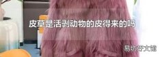 皮草是活剥动物的皮得来的吗