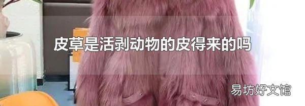 皮草是活剥动物的皮得来的吗
