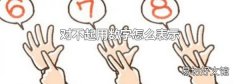 对不起用数字怎么表示