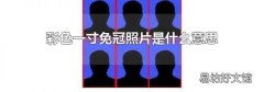 彩色一寸免冠照片是什么意思