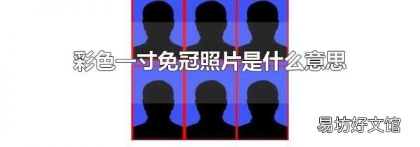 彩色一寸免冠照片是什么意思
