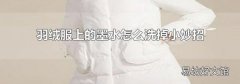 羽绒服上的墨水怎么洗掉小妙招