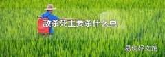 敌杀死主要杀什么虫