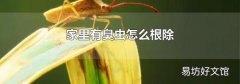 家里有臭虫怎么根除
