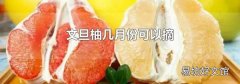 文旦柚几月份可以摘